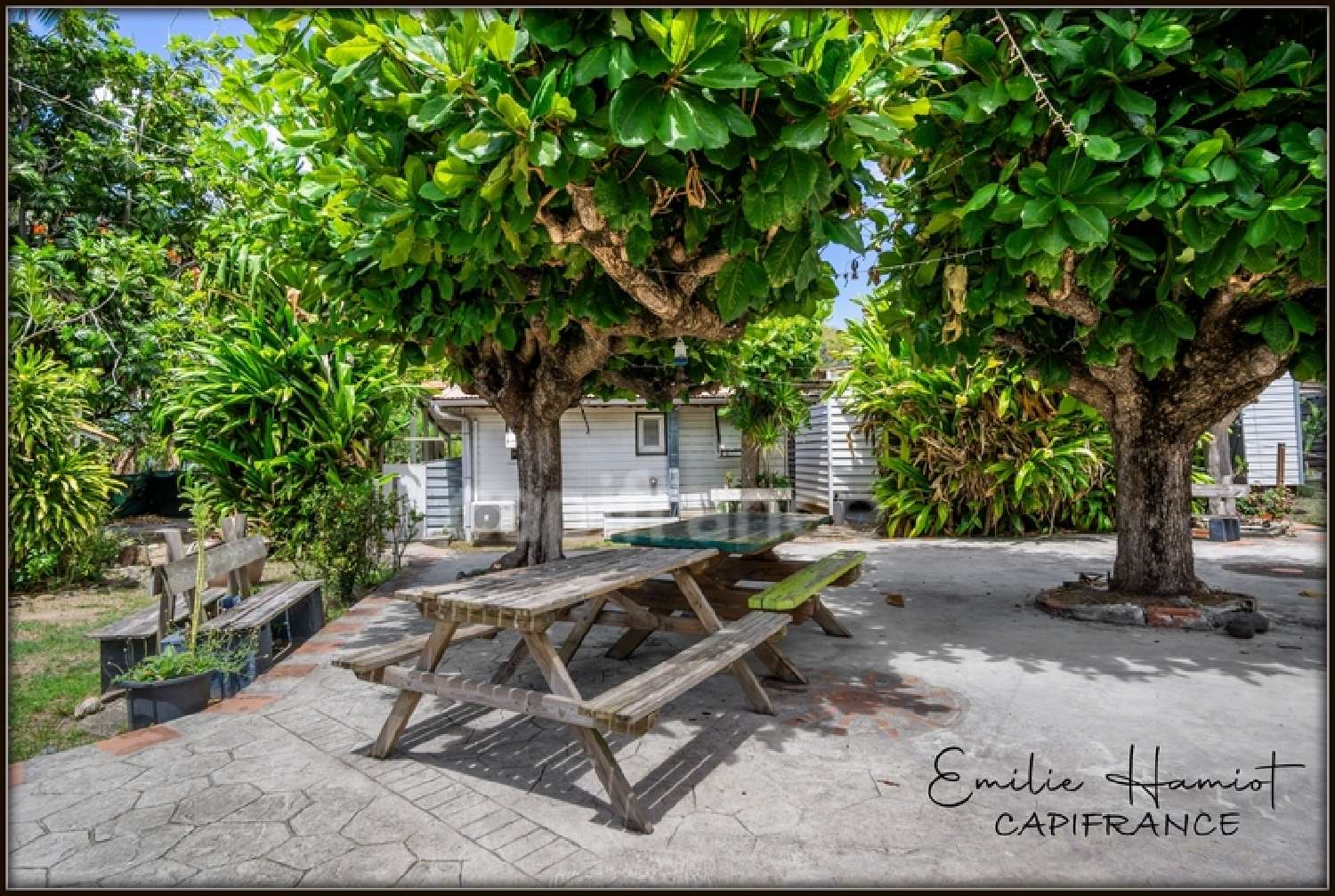 te koop appartement Case-Pilote Martinique 3