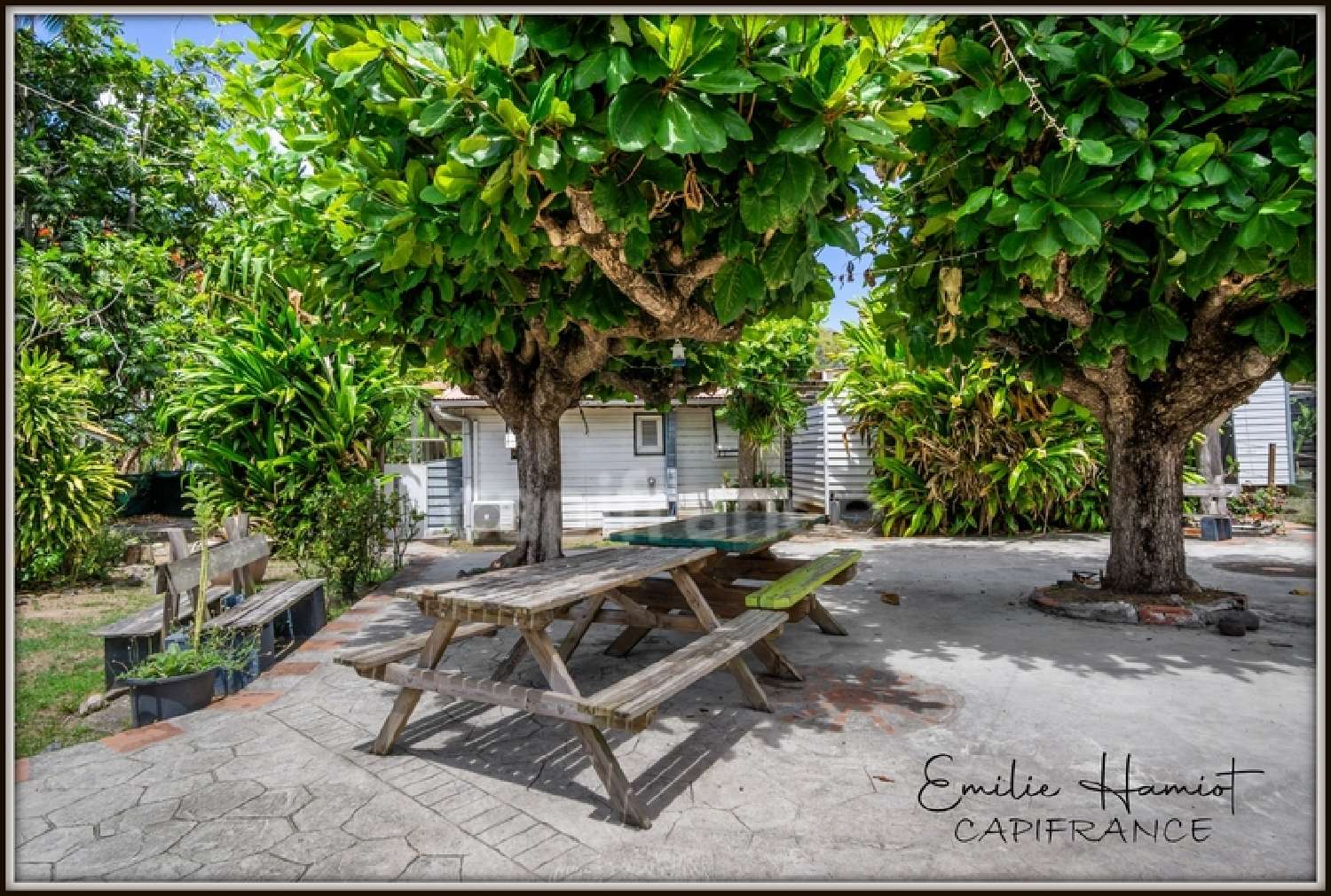 te koop appartement Case-Pilote Martinique 3