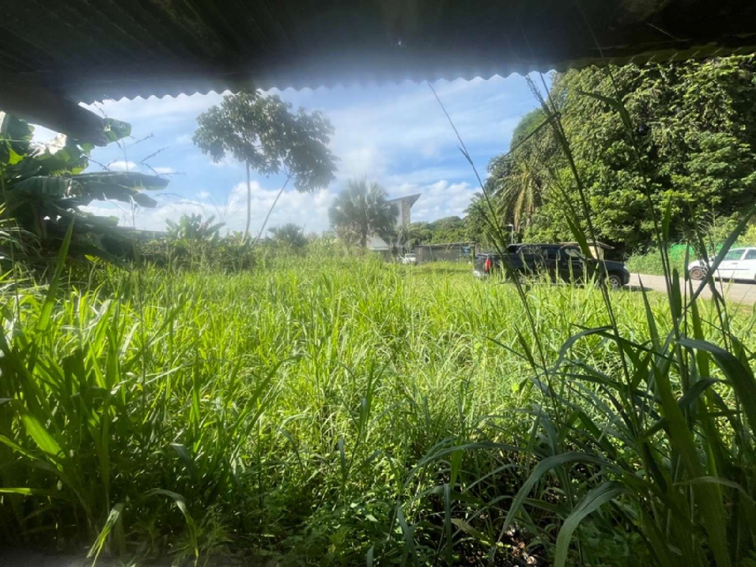 te koop appartement Cayenne Guyane 8