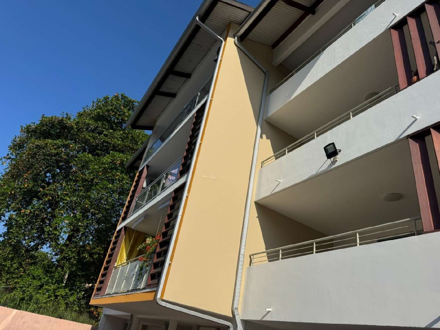 te koop appartement Cayenne Guyane 6