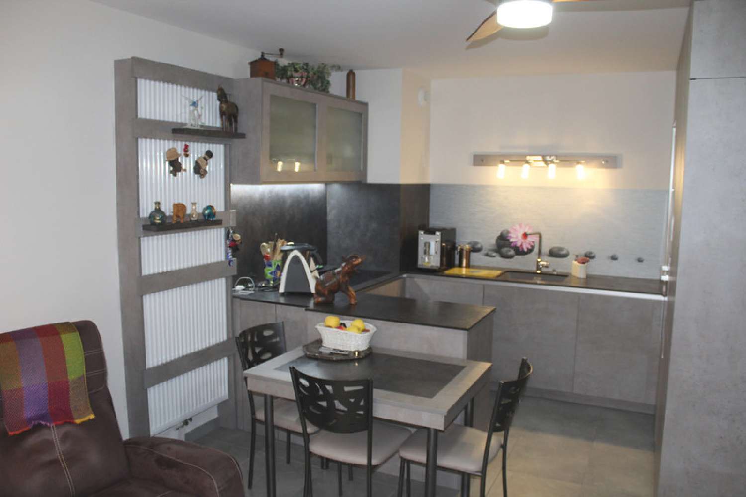  te koop appartement Ceyzériat Ain 2