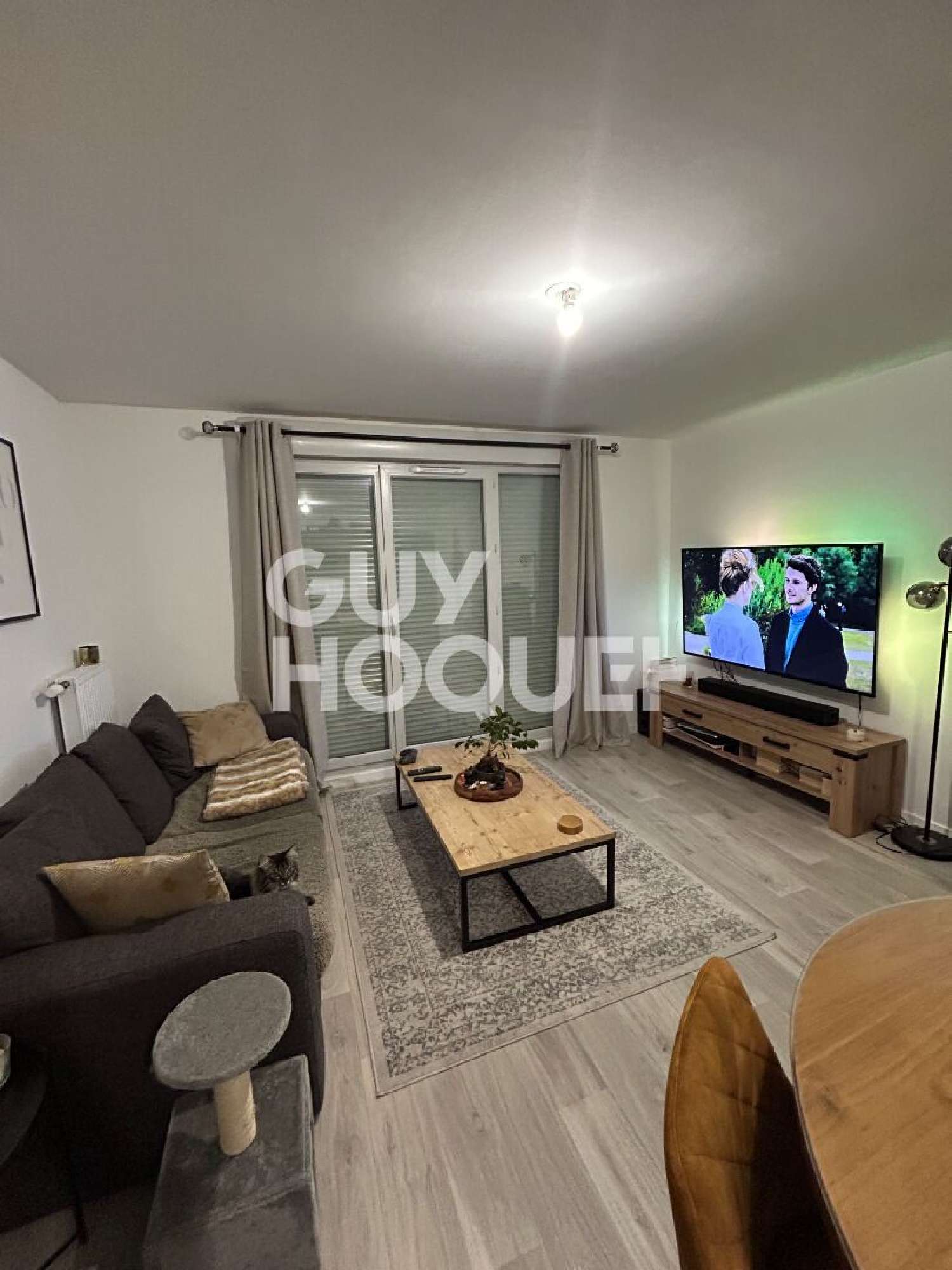 te koop appartement Chevry-Cossigny Seine-et-Marne 1