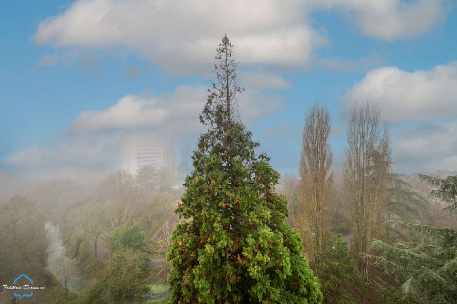 for sale apartment Dijon Côte-d'Or 2