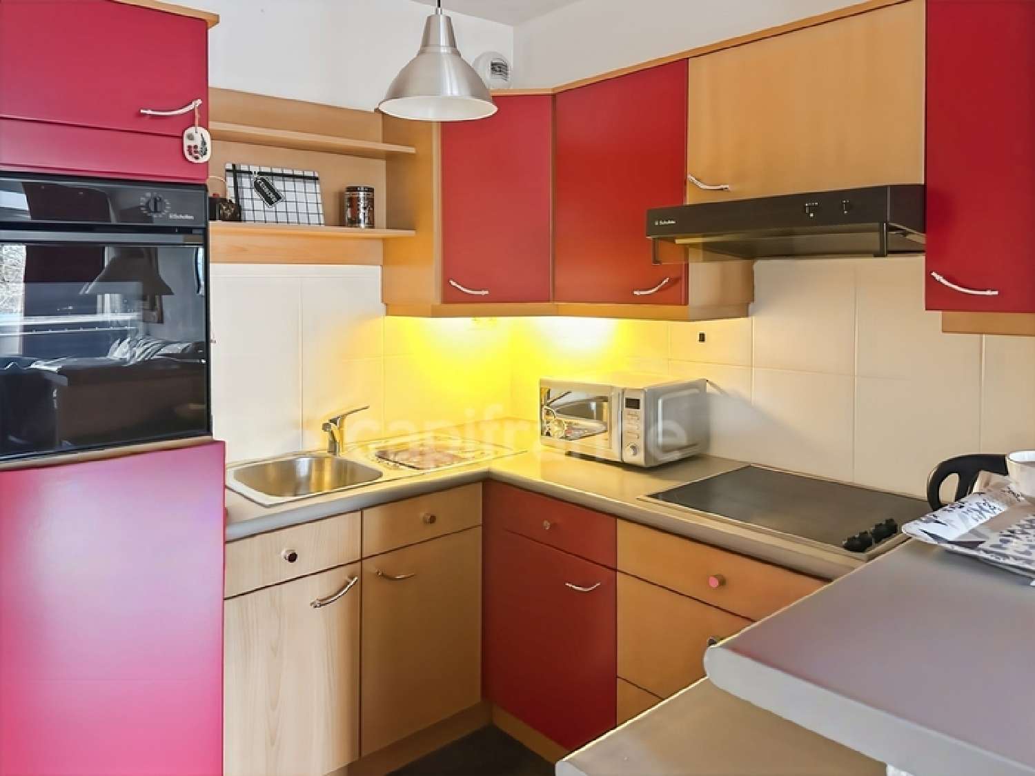  te koop appartement Ferney-Voltaire Ain 3