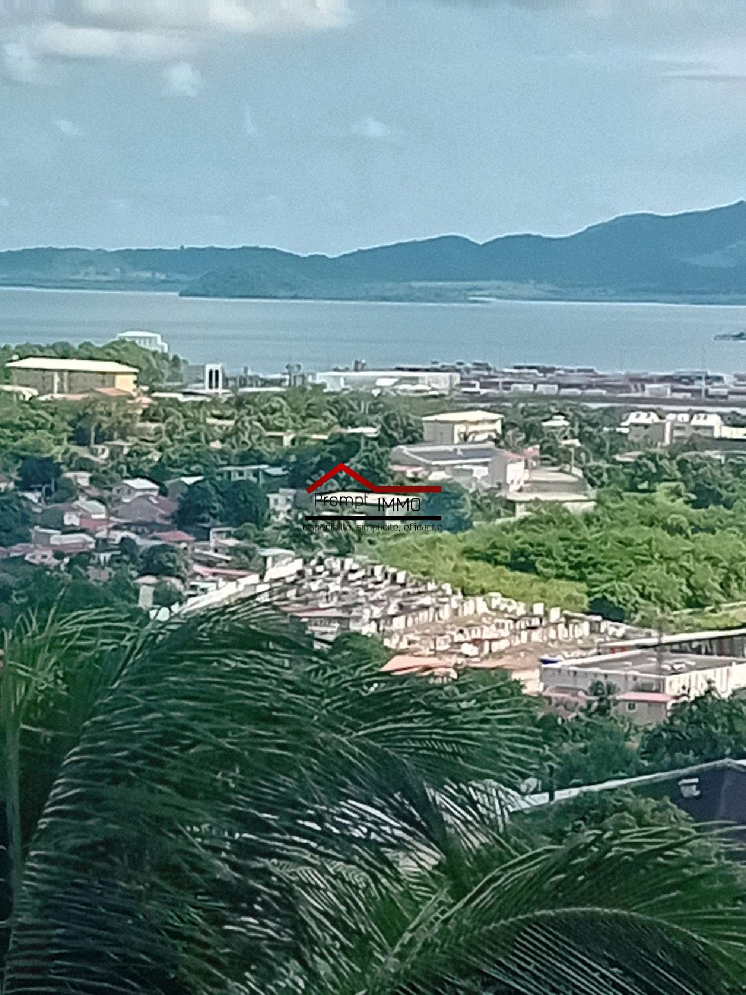  te koop appartement Fort-de-France Martinique 1