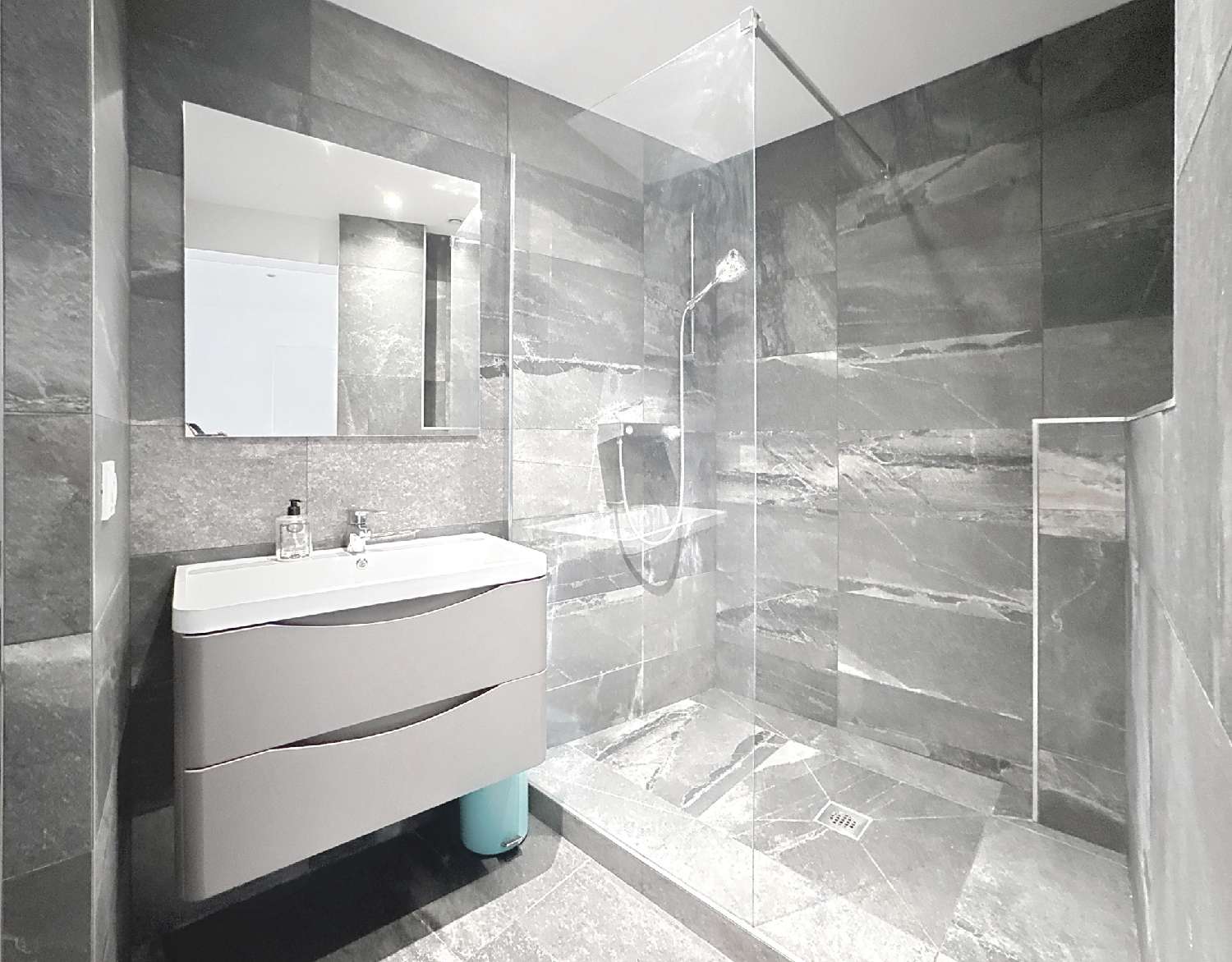 te koop appartement Grenoble 38100 Isère 4