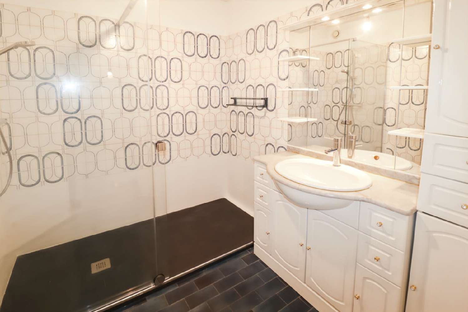  te koop appartement Grenoble 38100 Isère 5