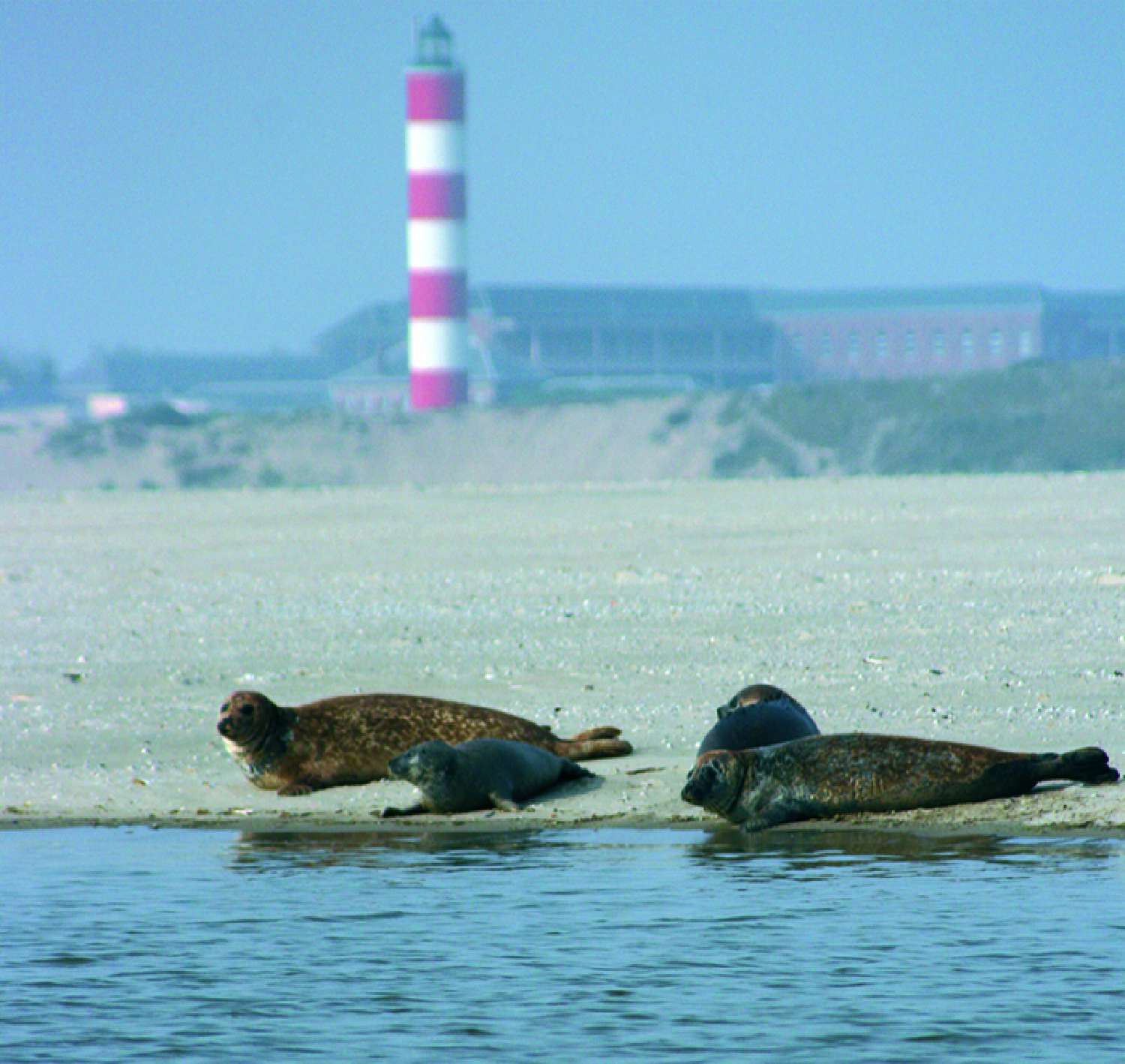 à vendre appartement Groffliers Pas-de-Calais 4