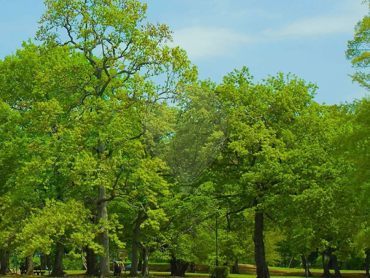 for sale apartment Lamorlaye Oise 3