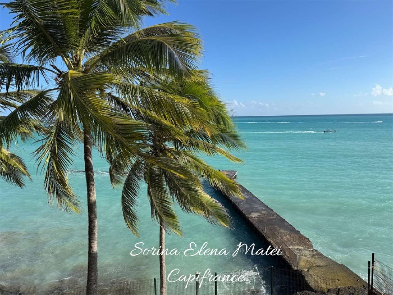 te koop appartement Le Gosier Guadeloupe 7