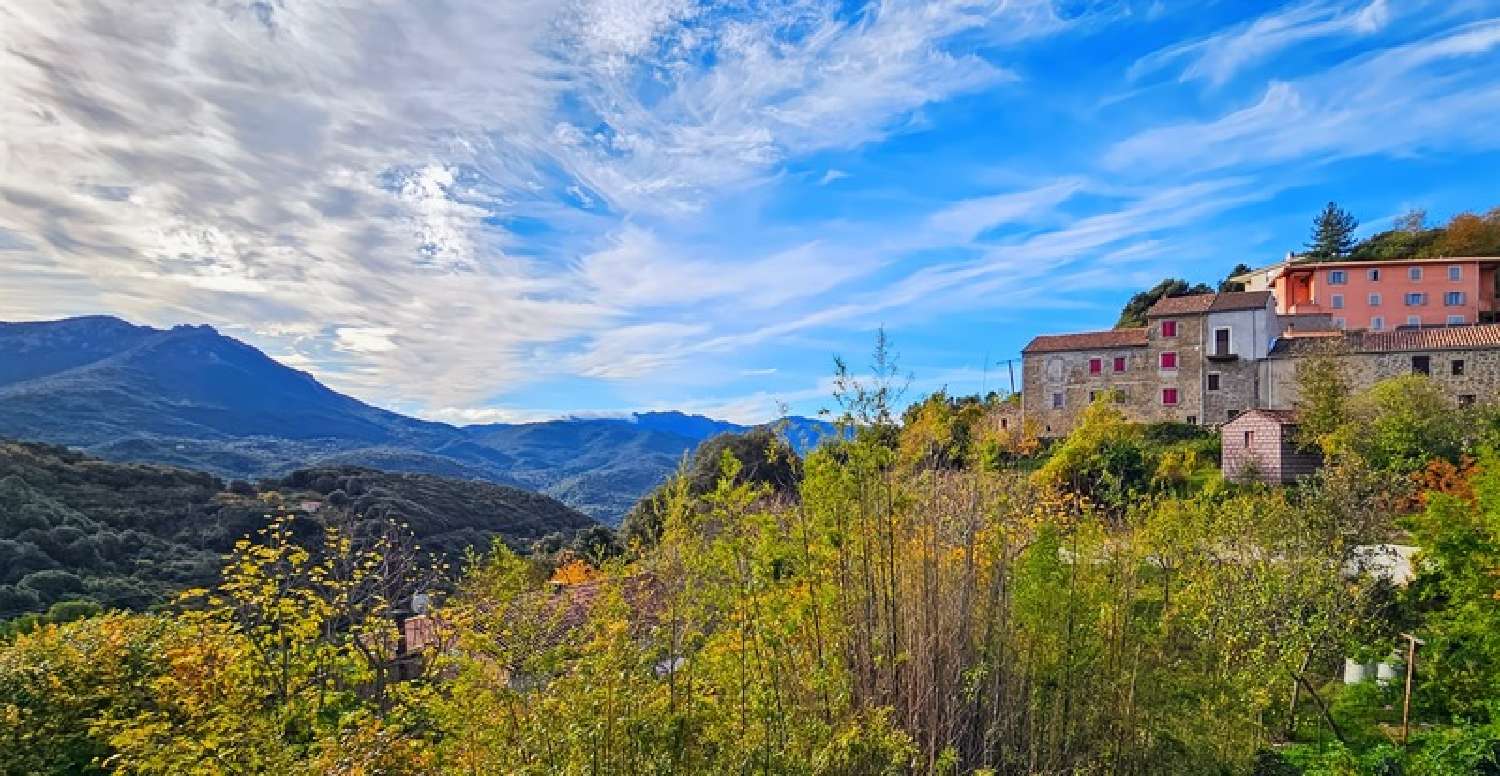  kaufen Wohnung/ Apartment Levie Corse-du-Sud 1