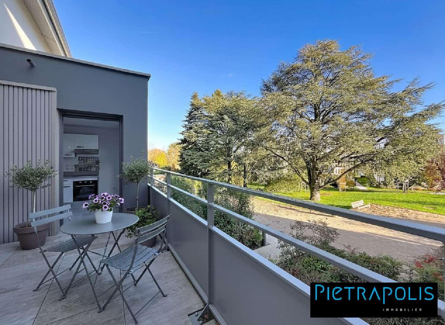  te koop appartement Limonest Rhône 2