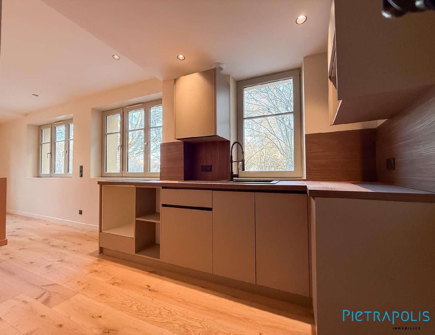 à vendre appartement Lyon 1er Arrondissement Rhône 1