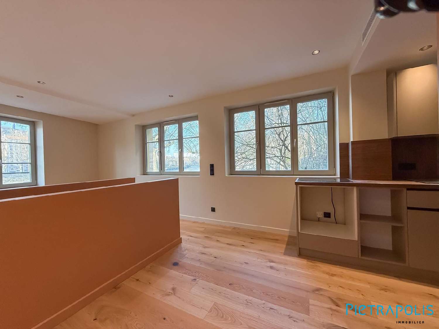 à vendre appartement Lyon 1er Arrondissement Rhône 3
