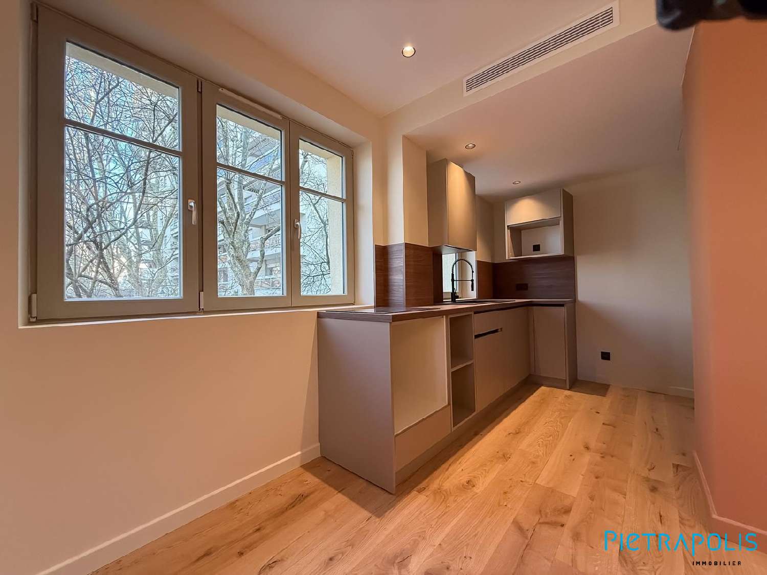 à vendre appartement Lyon 1er Arrondissement Rhône 4