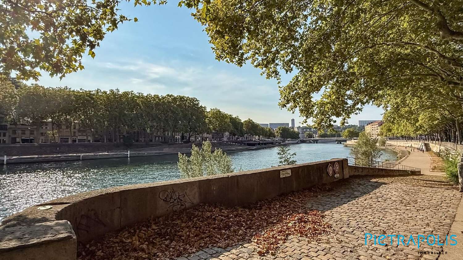 à vendre appartement Lyon 1er Arrondissement Rhône 4