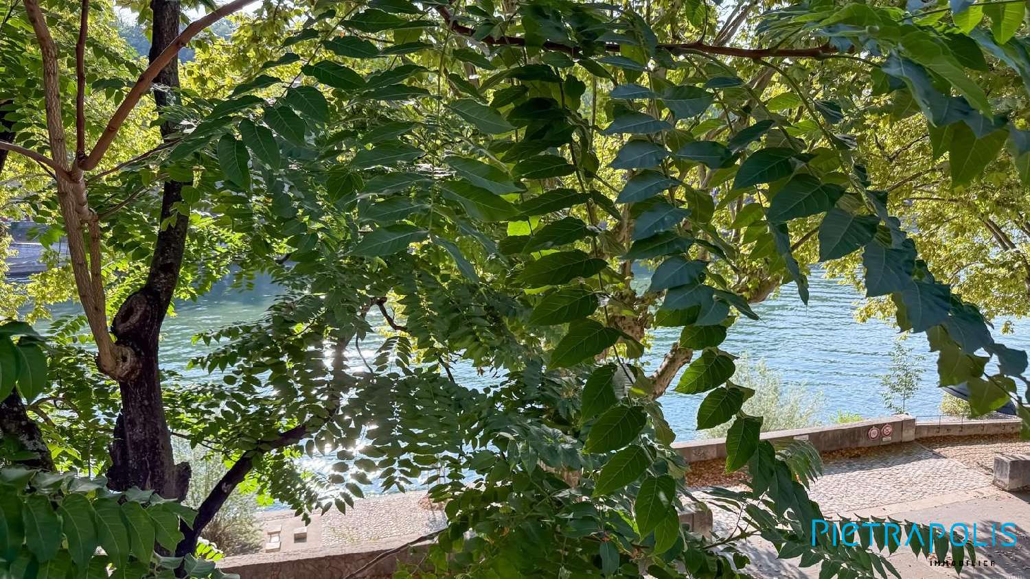 à vendre appartement Lyon 1er Arrondissement Rhône 8