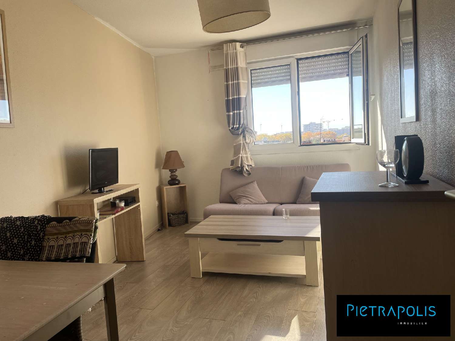  te koop appartement Lyon 7e Arrondissement Rhône 1