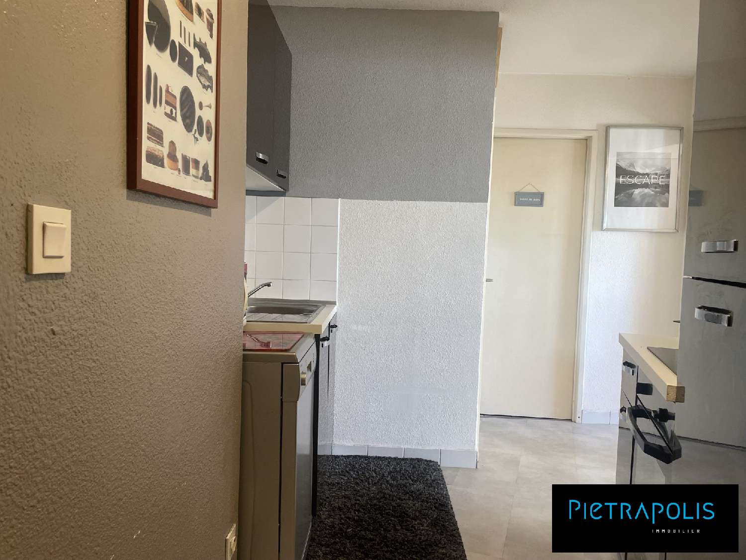  te koop appartement Lyon 7e Arrondissement Rhône 3