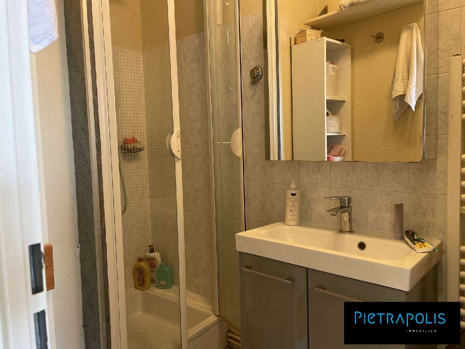  te koop appartement Lyon 7e Arrondissement Rhône 5