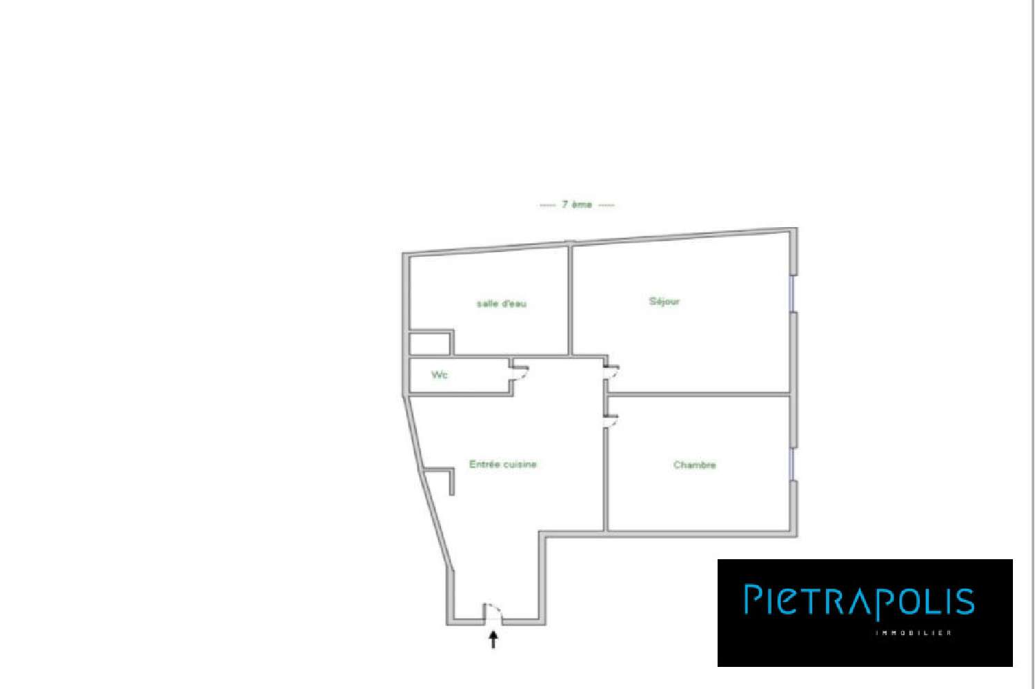  te koop appartement Lyon 7e Arrondissement Rhône 6