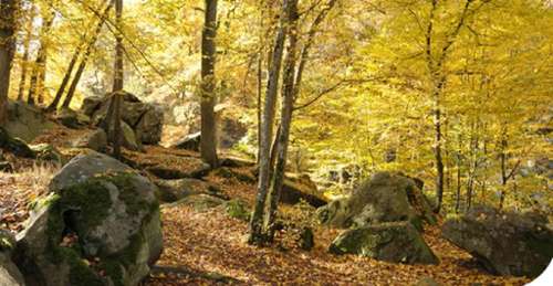 Magnanville Yvelines appartement foto 7217705