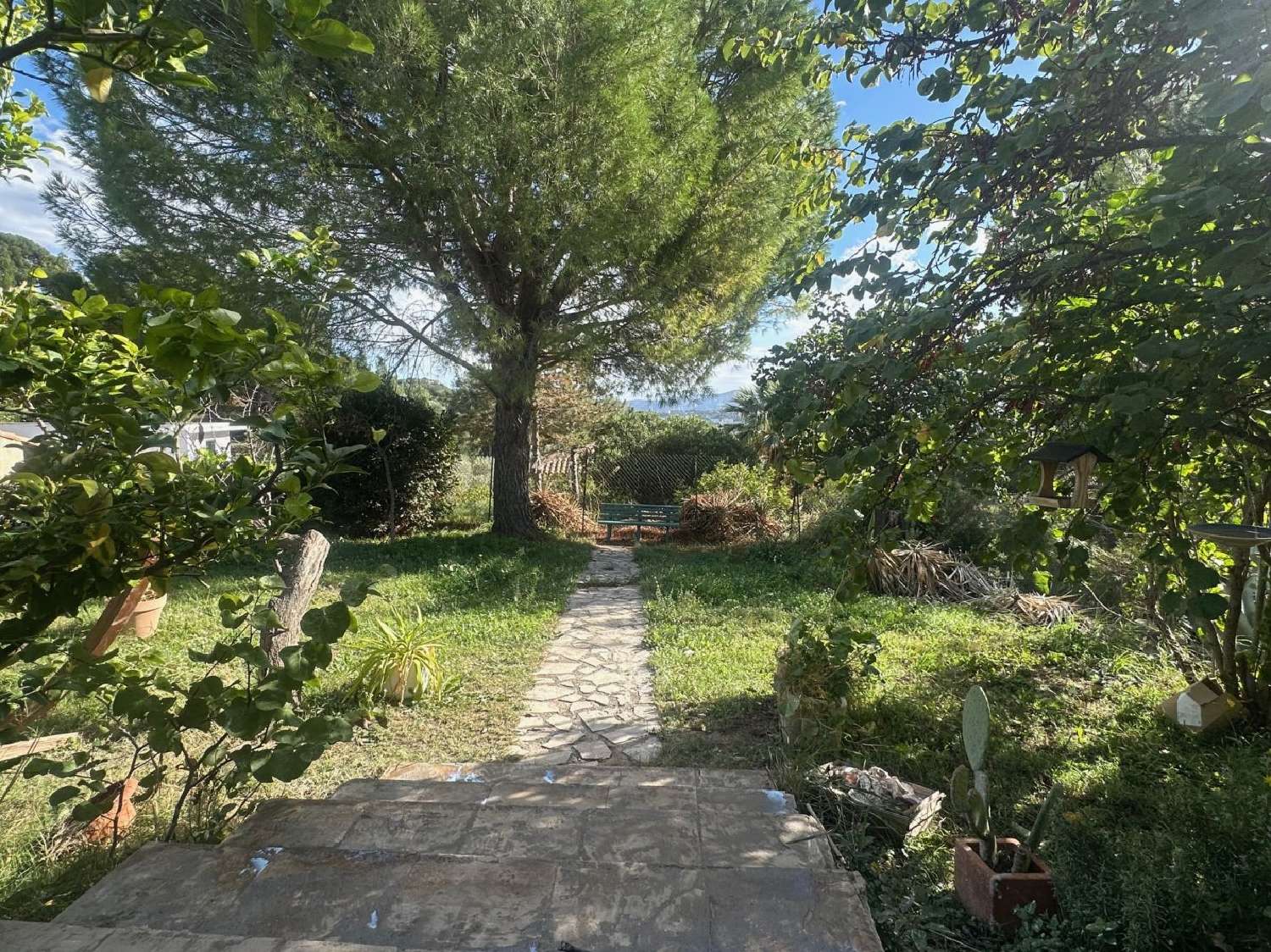  en venta apartamento Marsella Bocas del Ródano 1