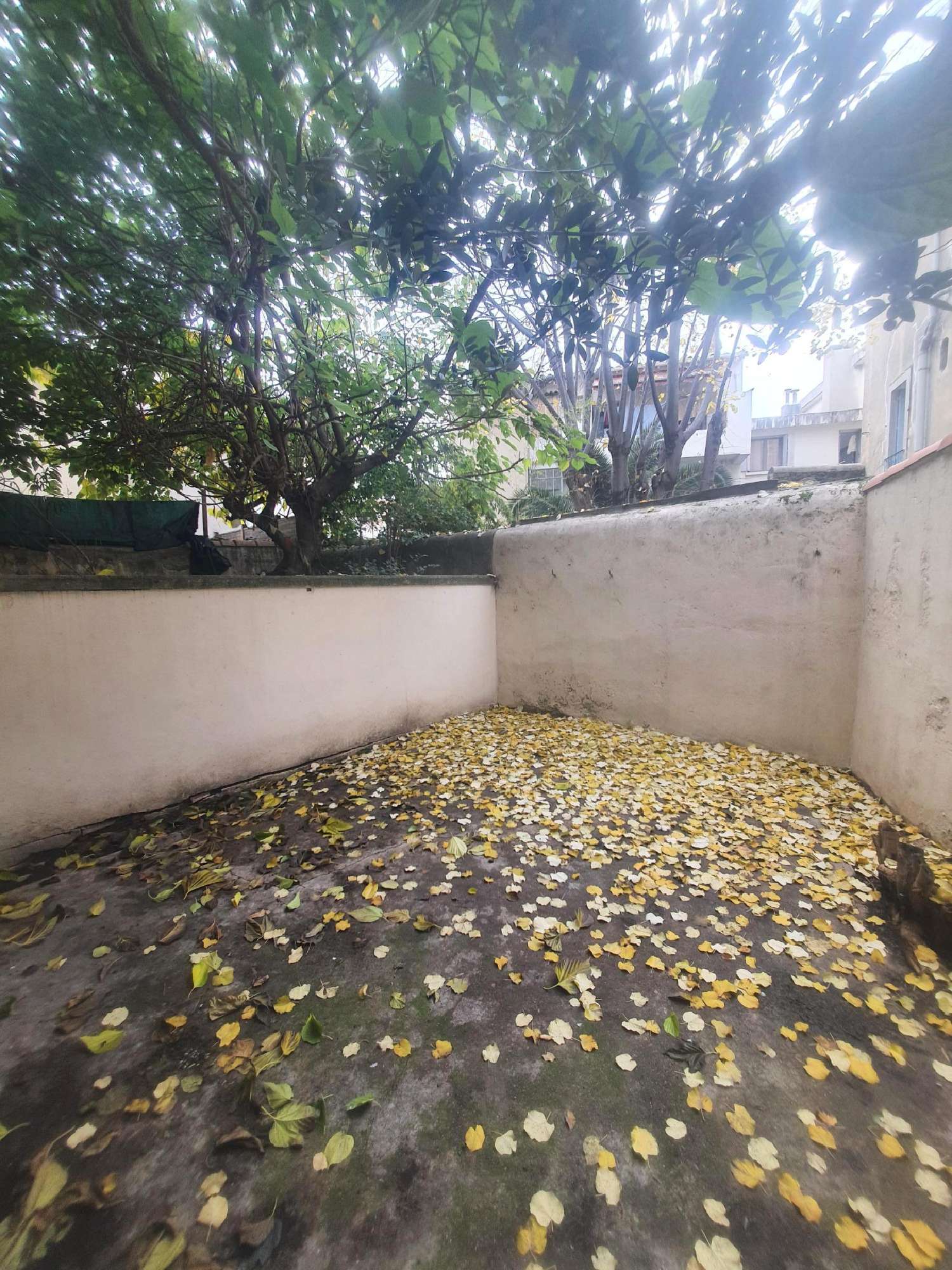  à vendre appartement Montpellier Hérault 1