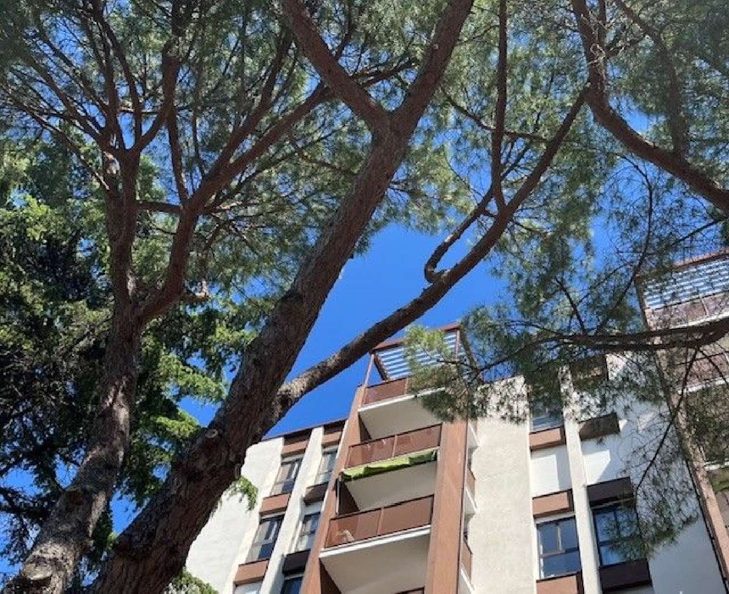 à vendre appartement Montpellier Hérault 3