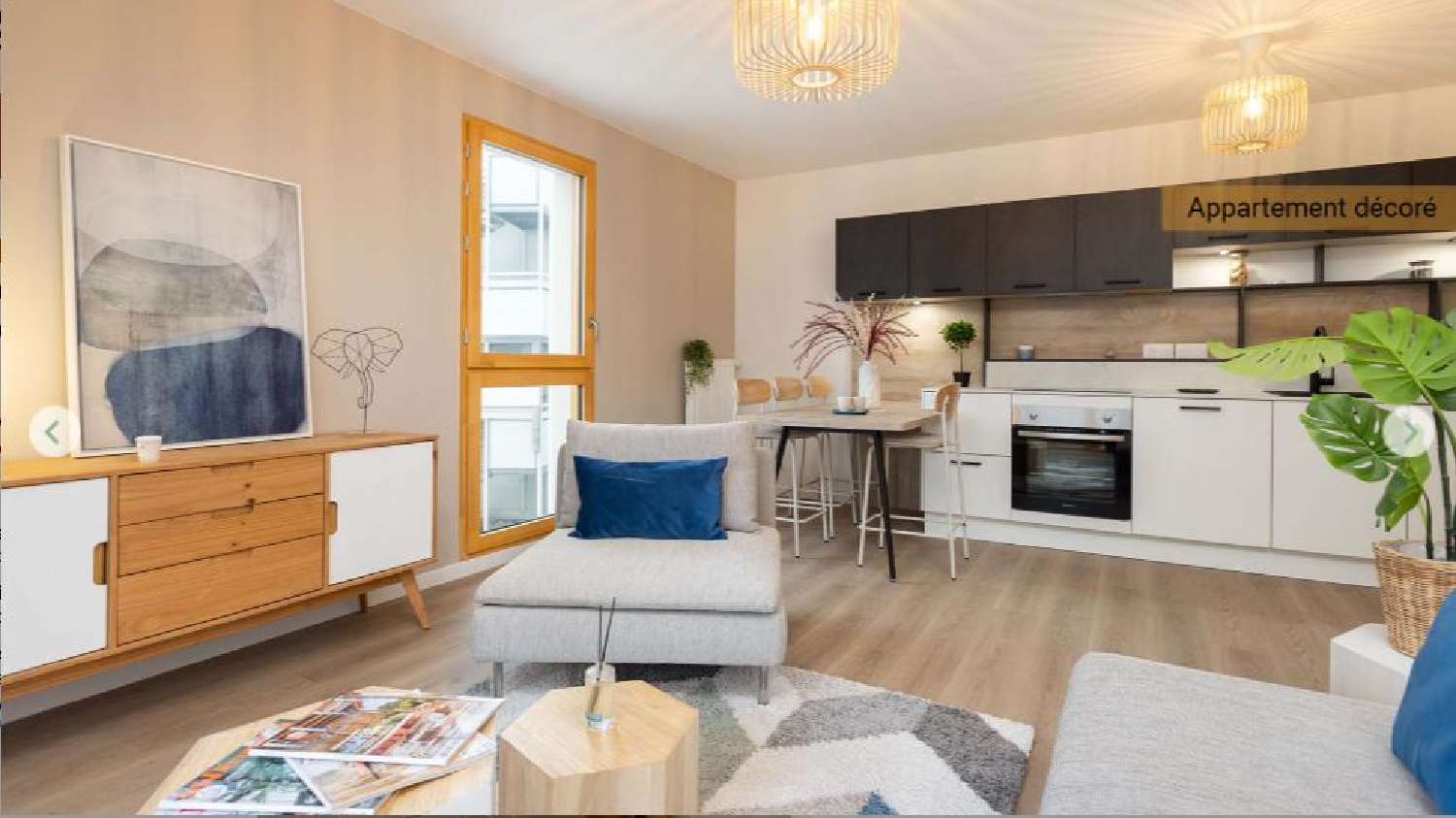  te koop appartement Mulhouse Haut-Rhin 2