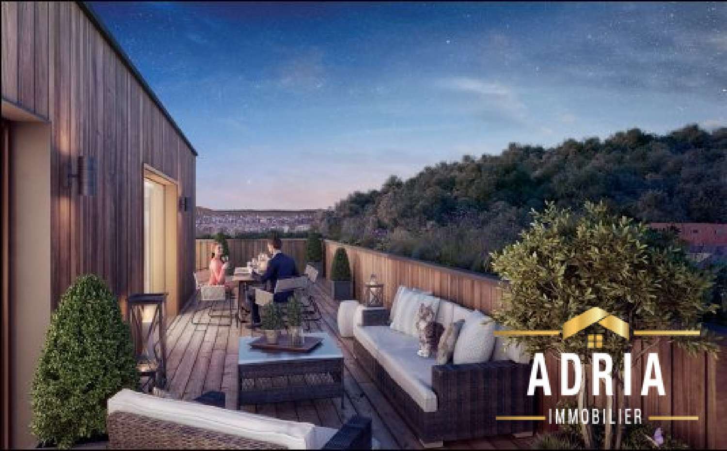 te koop appartement Nancy Meurthe-et-Moselle 1