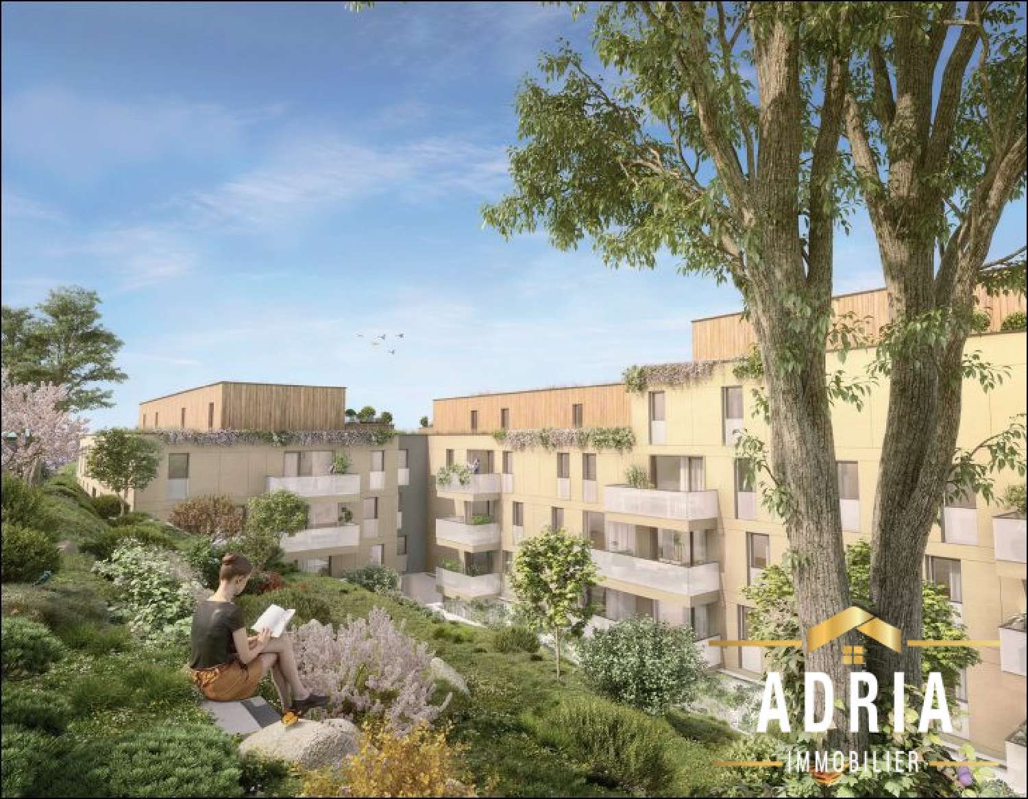 te koop appartement Nancy Meurthe-et-Moselle 3