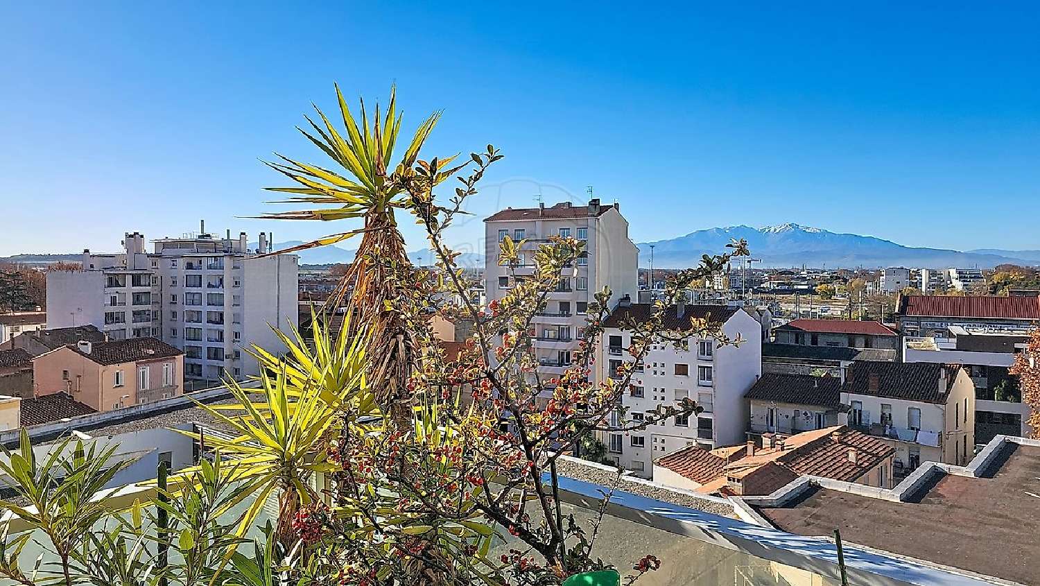  kaufen Wohnung/ Apartment Perpignan Pyrénées-Orientales 2