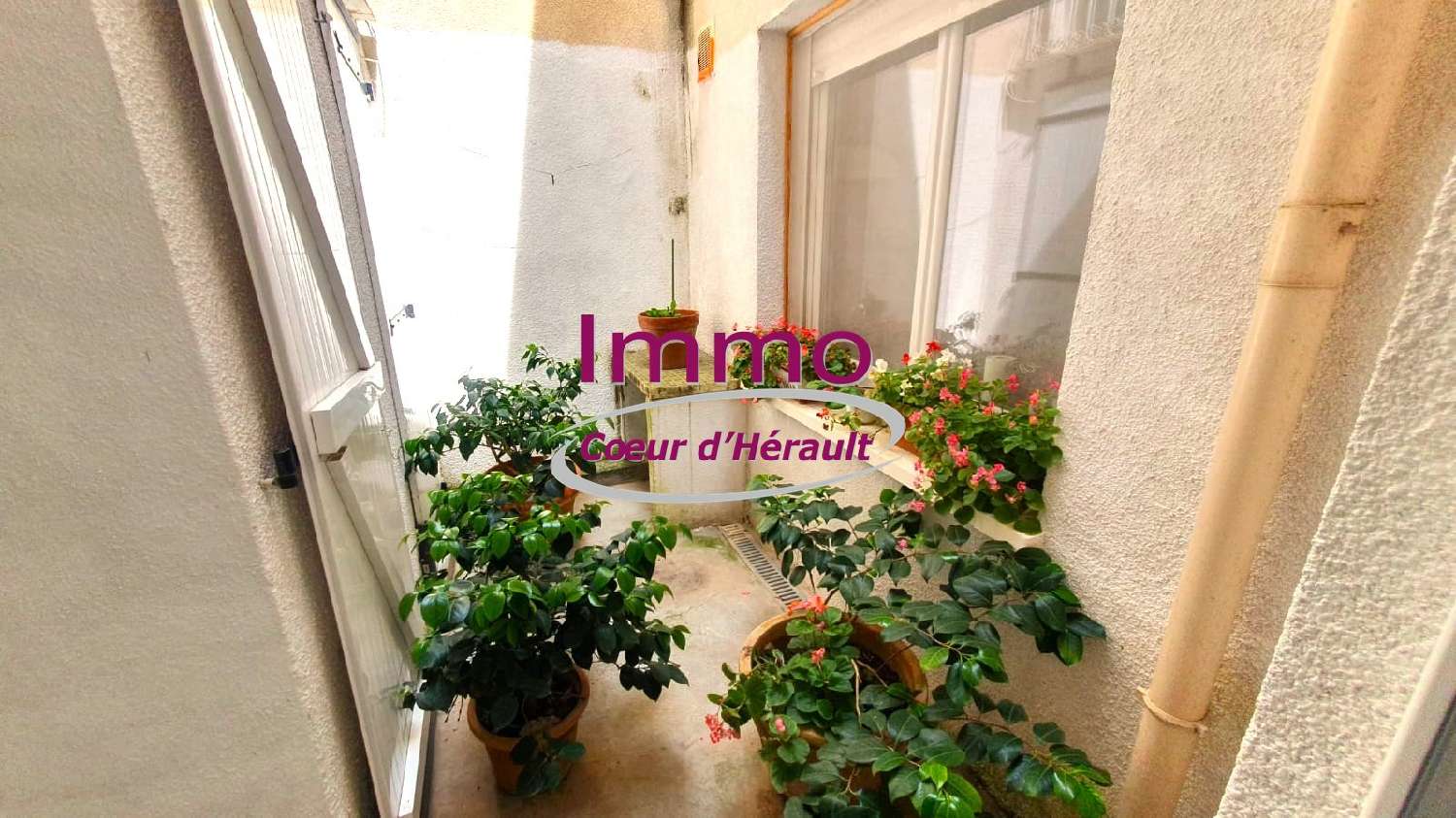  for sale apartment Plaissan Hérault 7