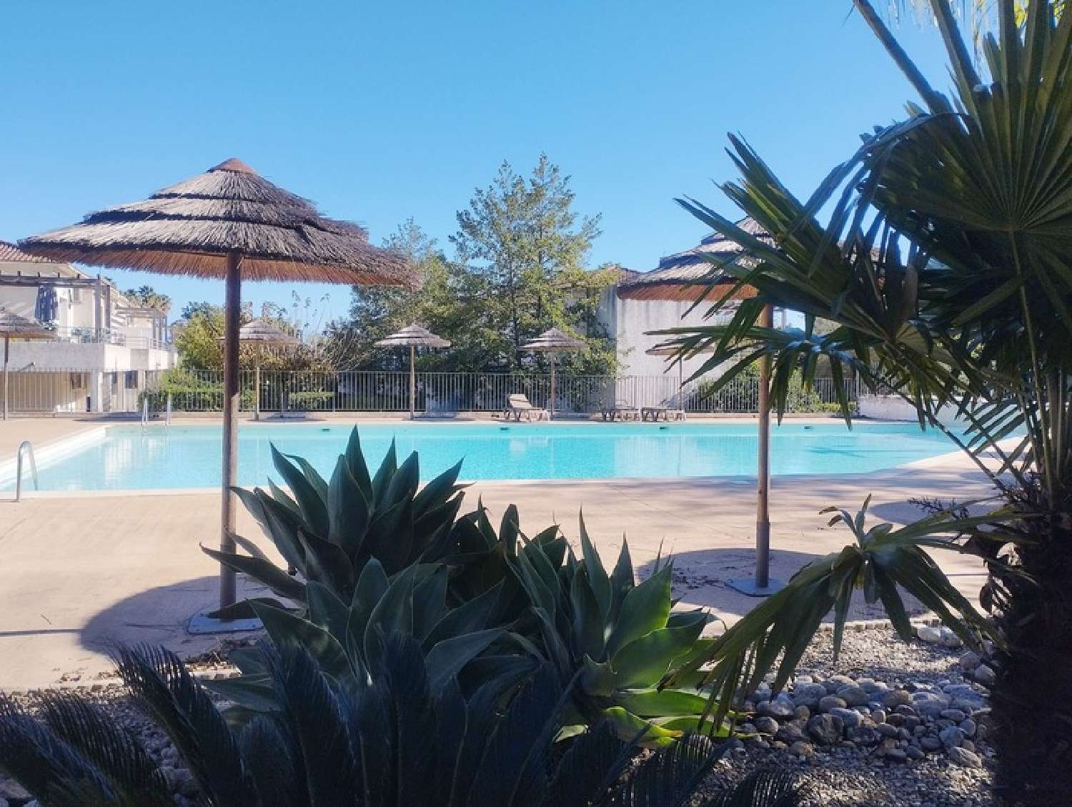 à vendre appartement Poggio-Mezzana Haute-Corse 2