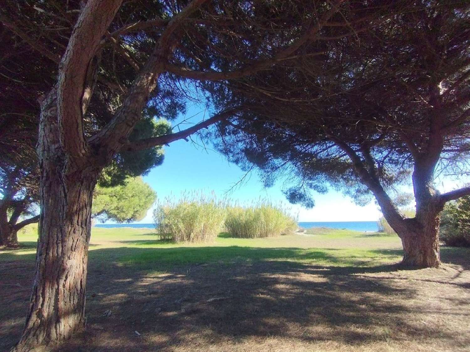 à vendre appartement Poggio-Mezzana Haute-Corse 3