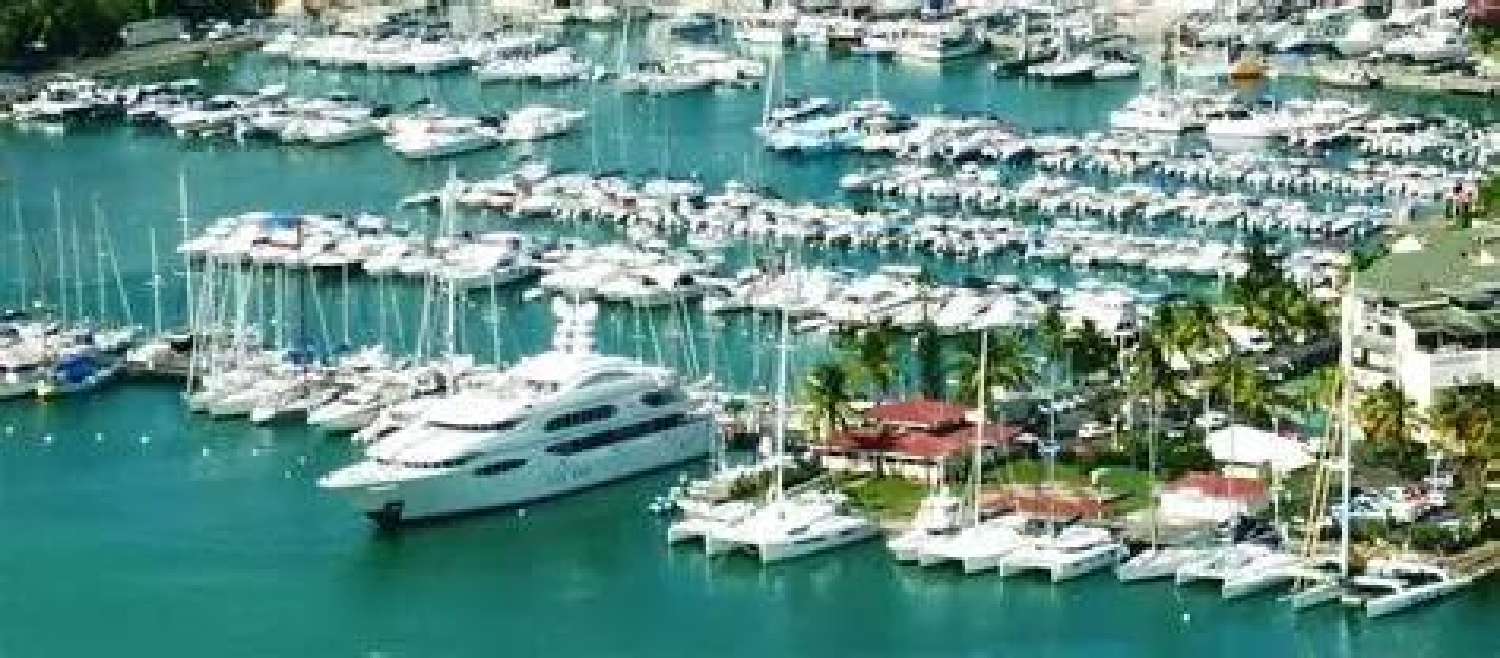 te koop appartement Pointe-à-Pitre Guadeloupe 1