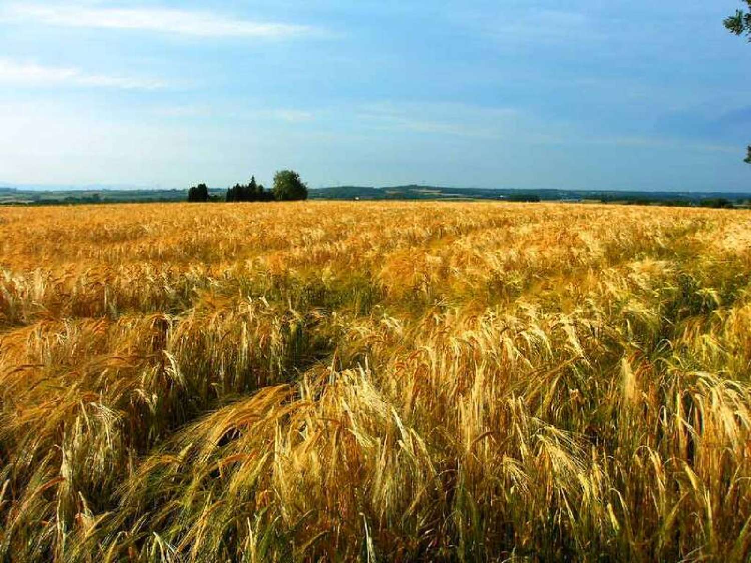 te koop appartement Rillieux-La-Pape Rhône 1