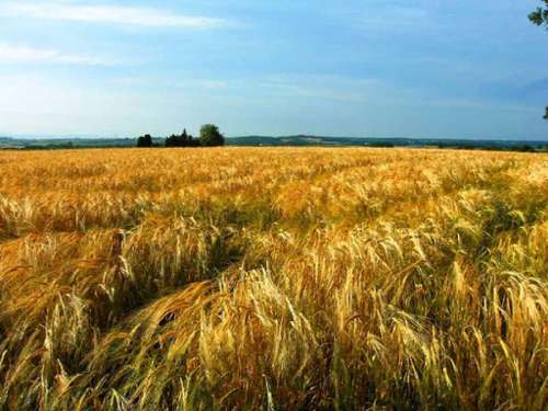 Rillieux-La-Pape Rhône appartement foto 7225101