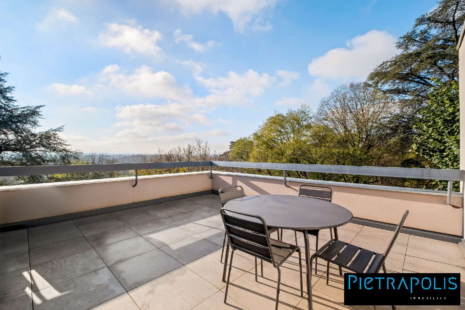 te koop appartement Rillieux-La-Pape Rhône 2