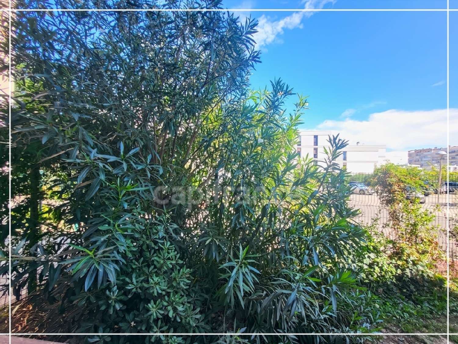 for sale apartment Saint-Cyprien-Plage Pyrénées-Orientales 5