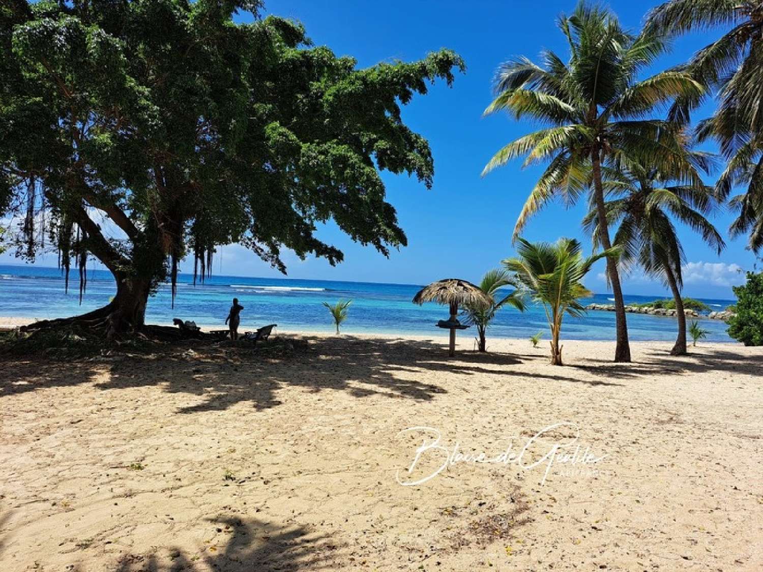  te koop appartement Saint-François Guadeloupe 1