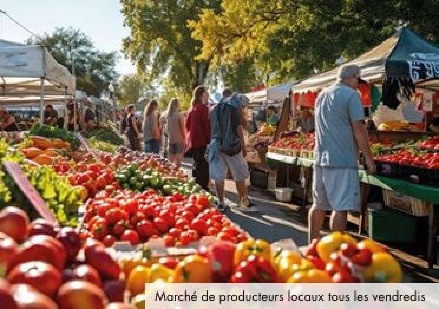 en venta apartamento Saint-Martin-de-Crau Bocas del Ródano 2