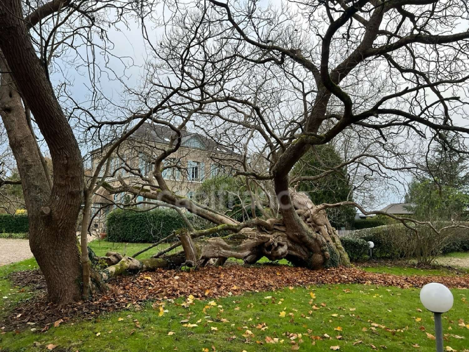 te koop appartement Saint-Pierre-lès-Elbeuf Seine-Maritime 3