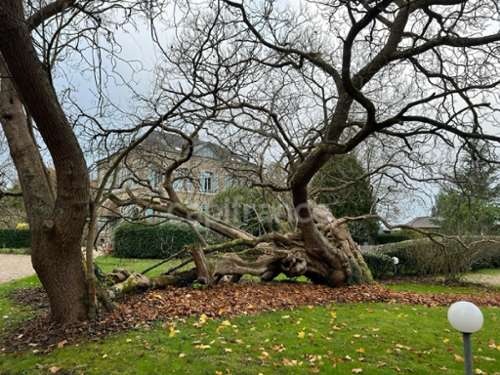  kaufen Wohnung/ Apartment Saint-Pierre-lès-Elbeuf Seine-Maritime 3
