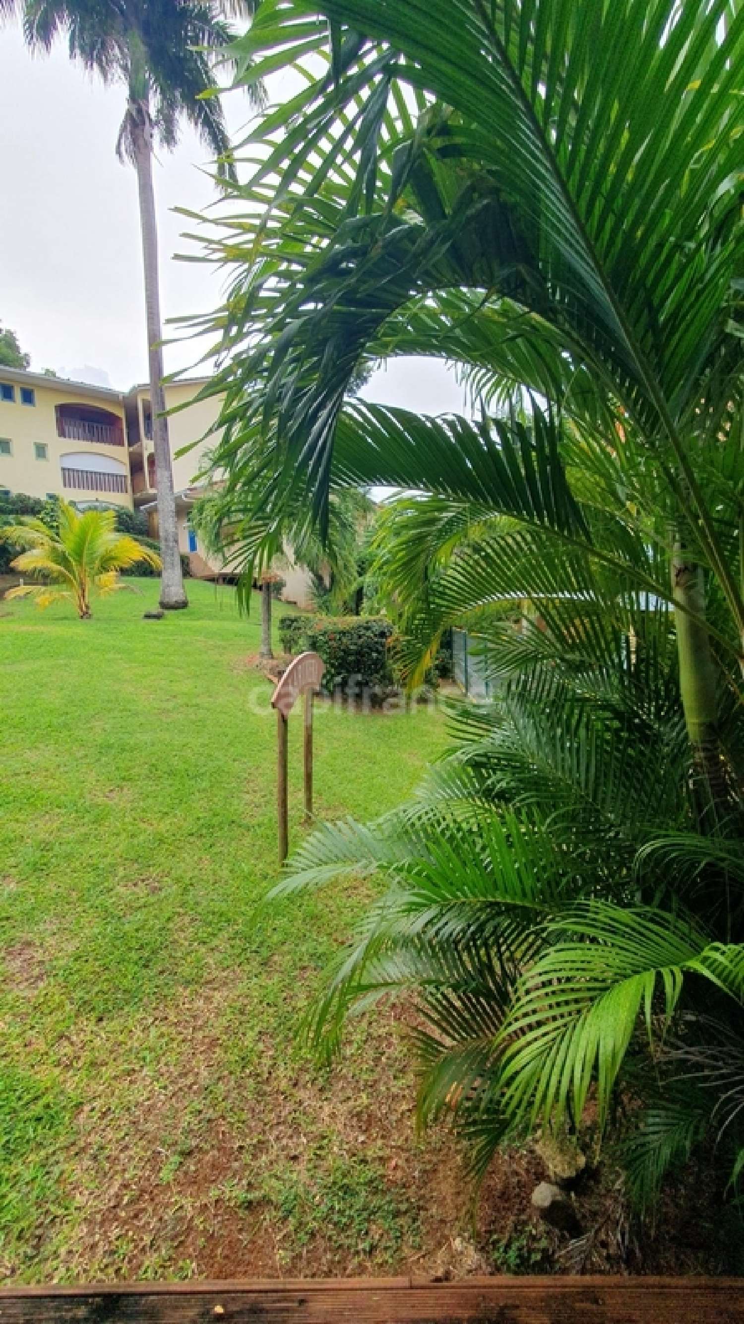 à vendre appartement Sainte-Anne Martinique 4