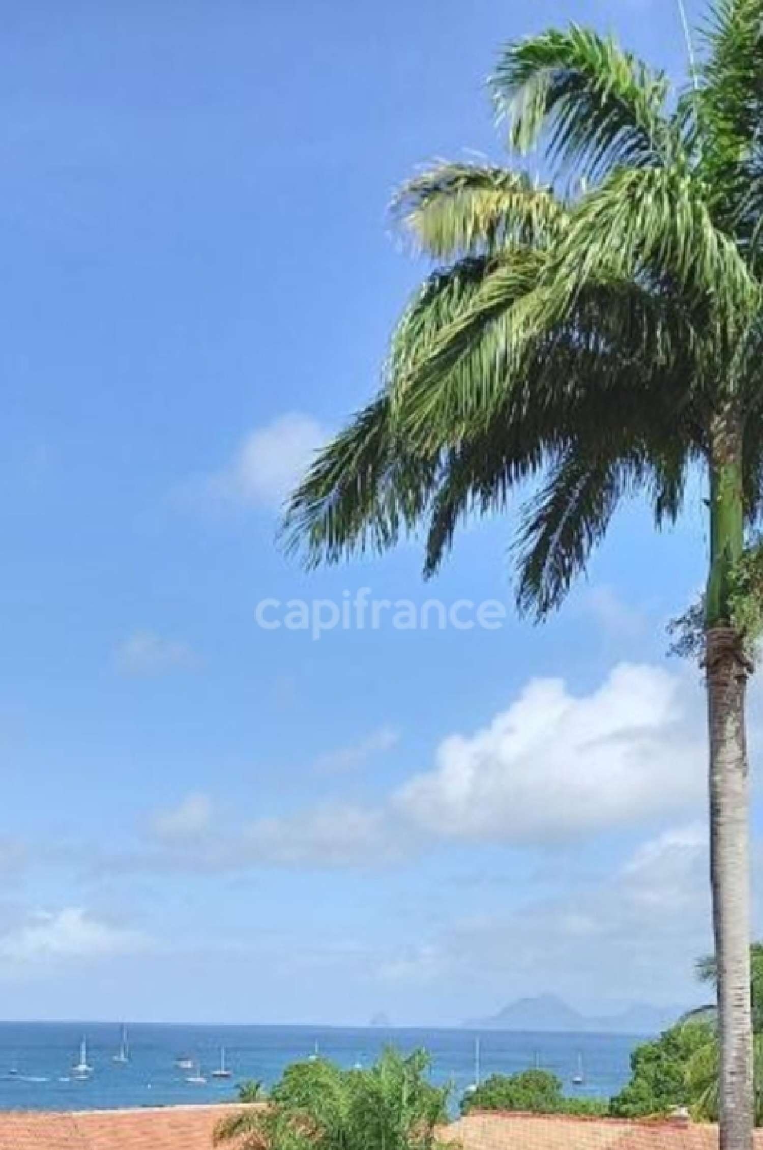 à vendre appartement Sainte-Anne Martinique 4