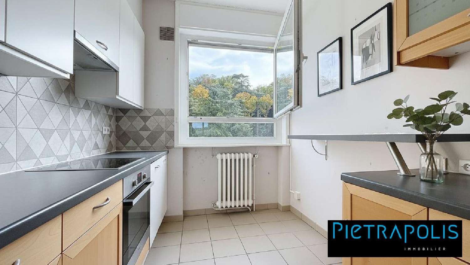 te koop appartement Sainte-Foy-lès-Lyon Rhône 8