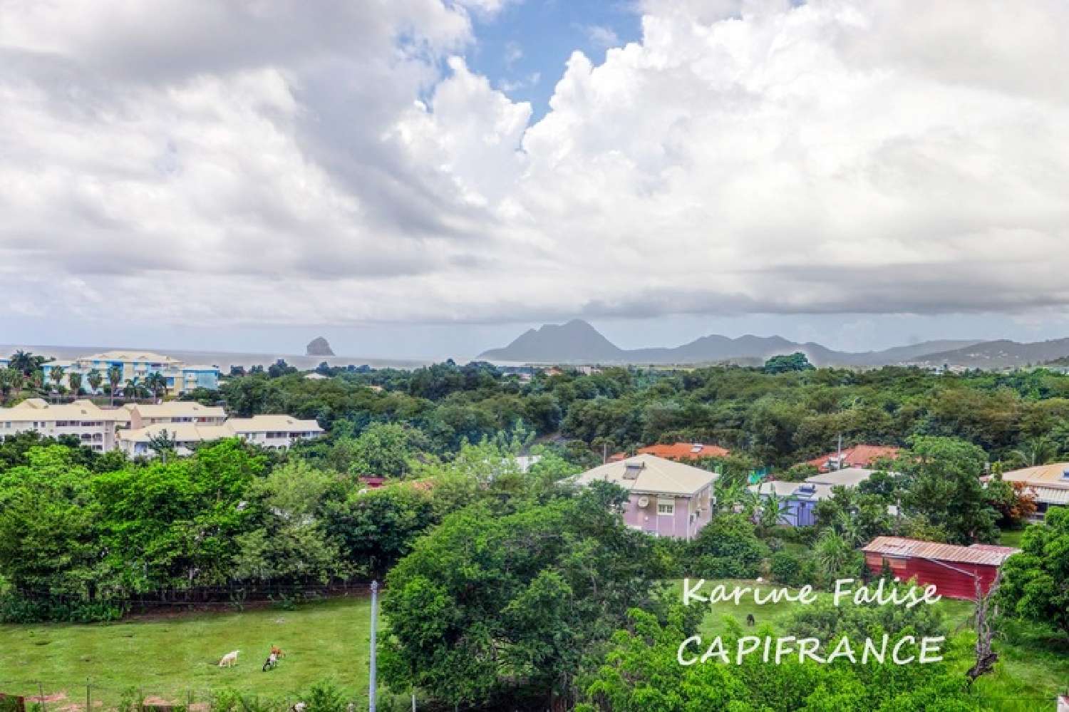 te koop appartement Sainte-Luce Martinique 6