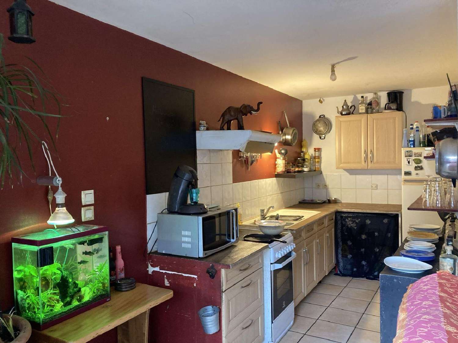  te koop appartement Sallèles-d'Aude Aude 2